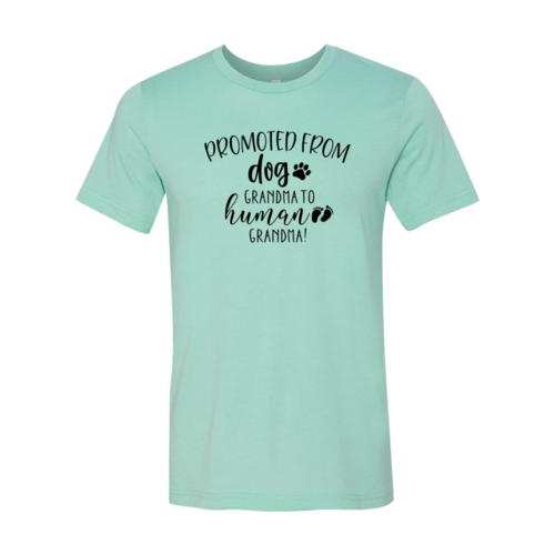 Promoted from Dog Grandma to Human Grandma T-Shirt
