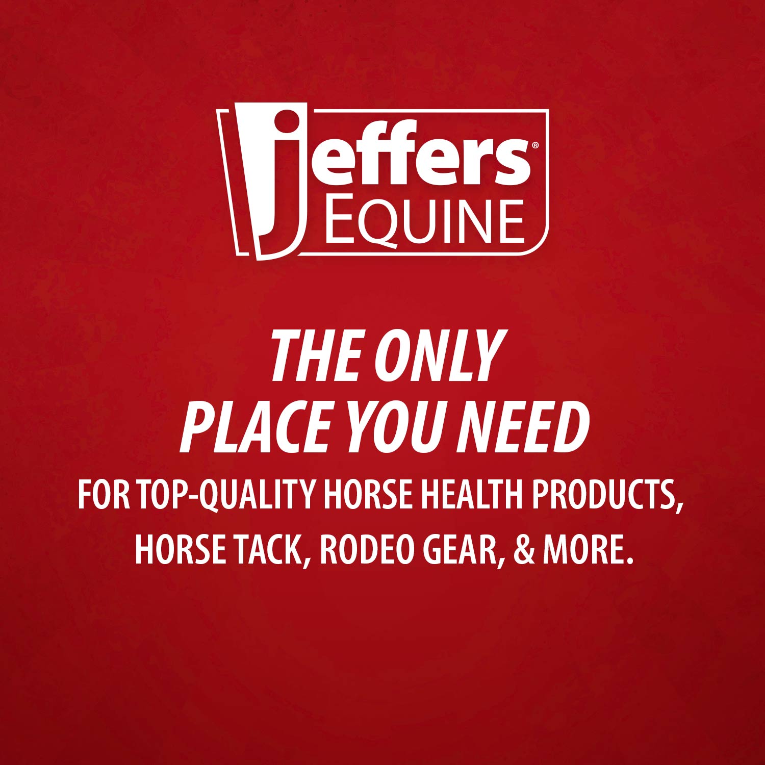 Jeffers Double Shedding Blade for Horse Grooming