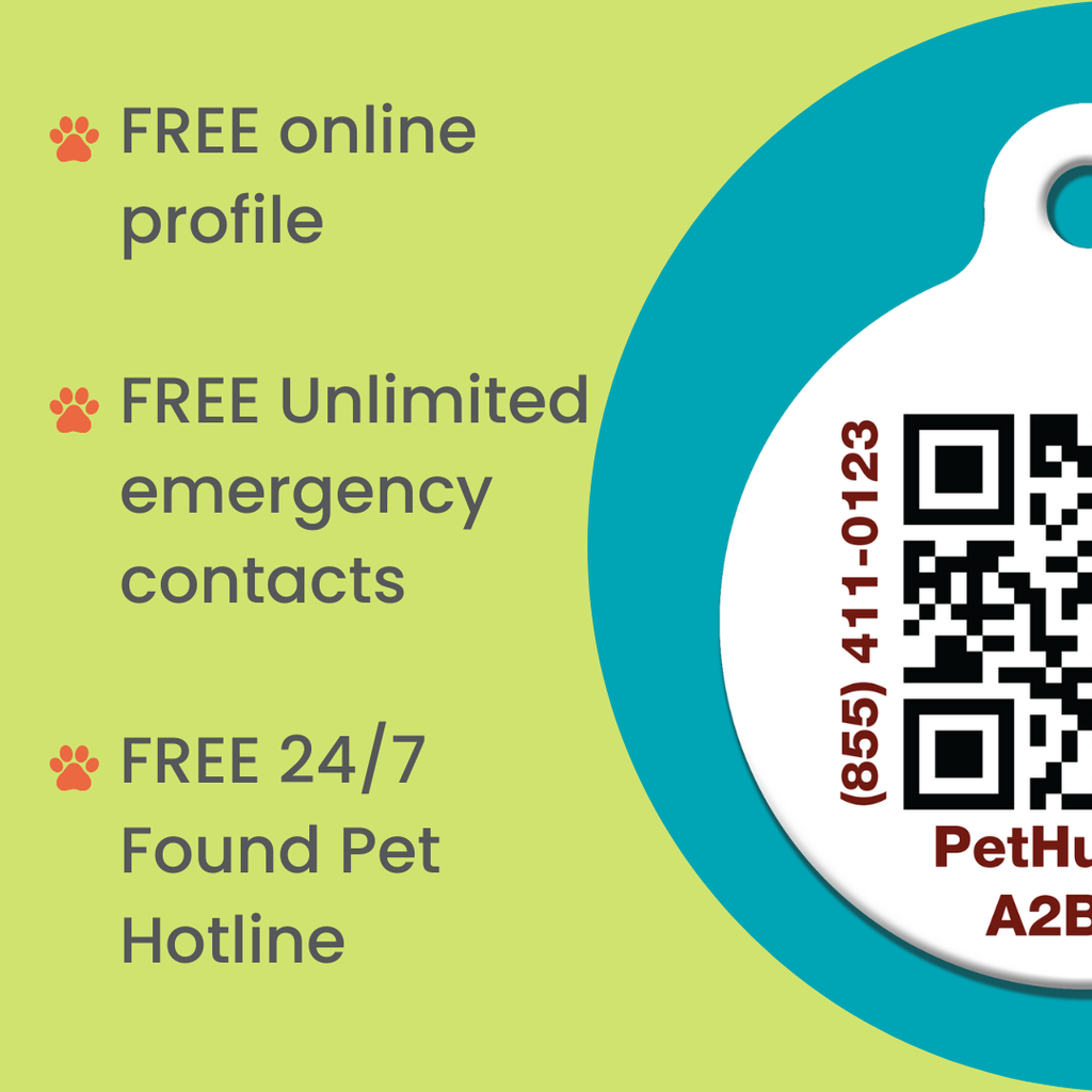 PetHub QR Pet ID Wallet & Keychain Card – Emergency Backup for Your Pet