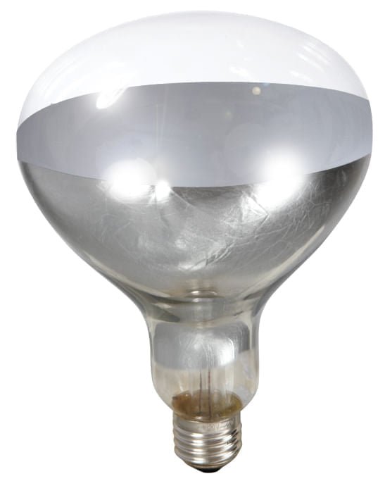 Clamp-On Brooder Heat Lamp for Chicks & Poultry - Compatible with 250W Red & Clear Heat Bulbs