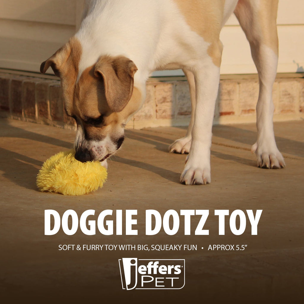 Jeffers 5" Doggie Dotz Plush Squeaker Dog Toy, Each