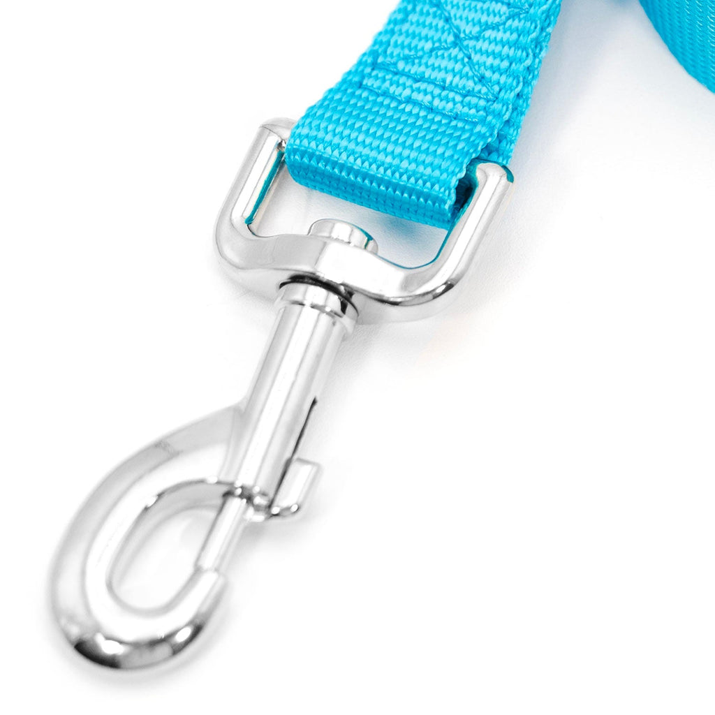 Jeffers 1-Ply Web Nylon Dog Leashes