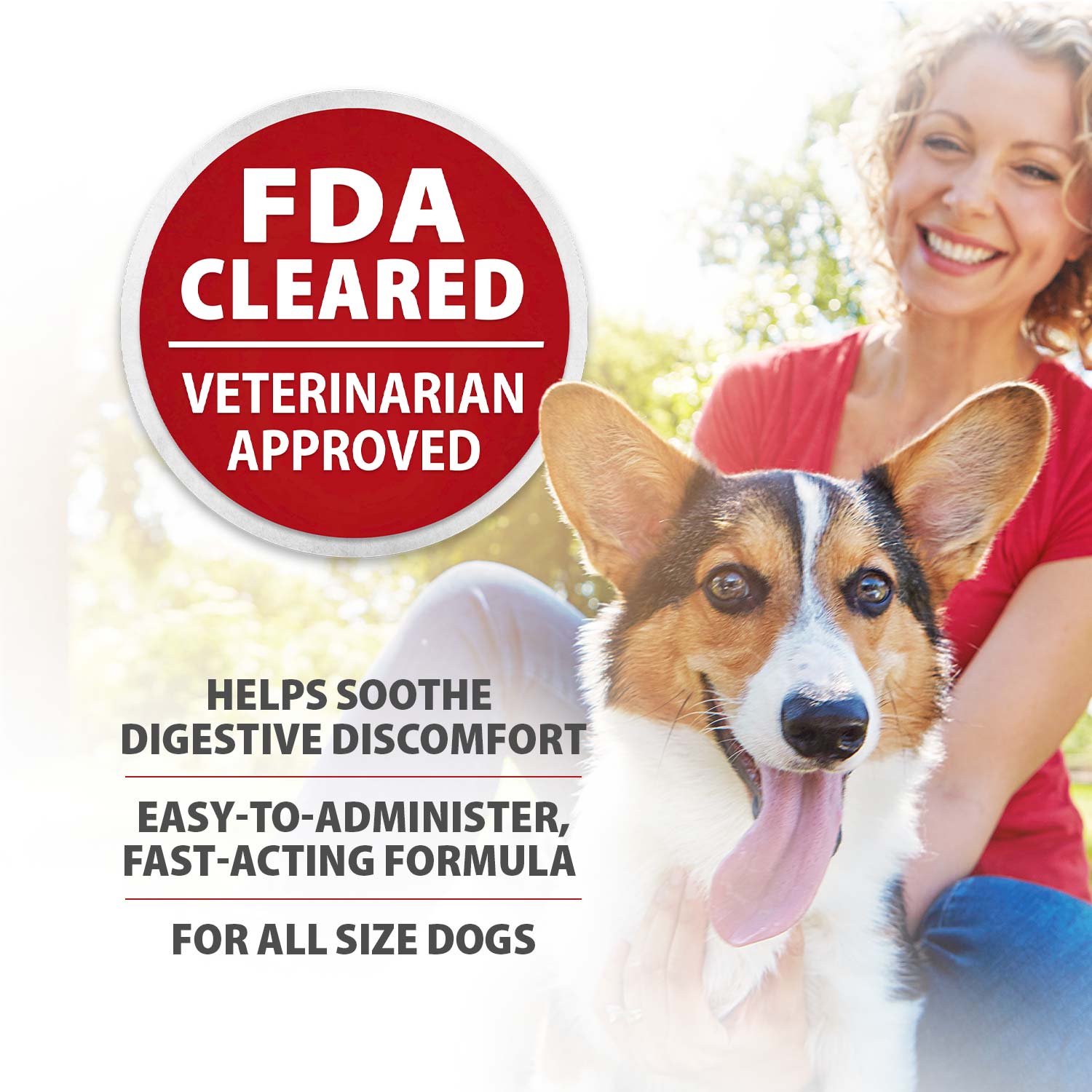 Jeffers Diawin Digestive Support for Dogs - Bismuth Tummy Relief for Diarrhea