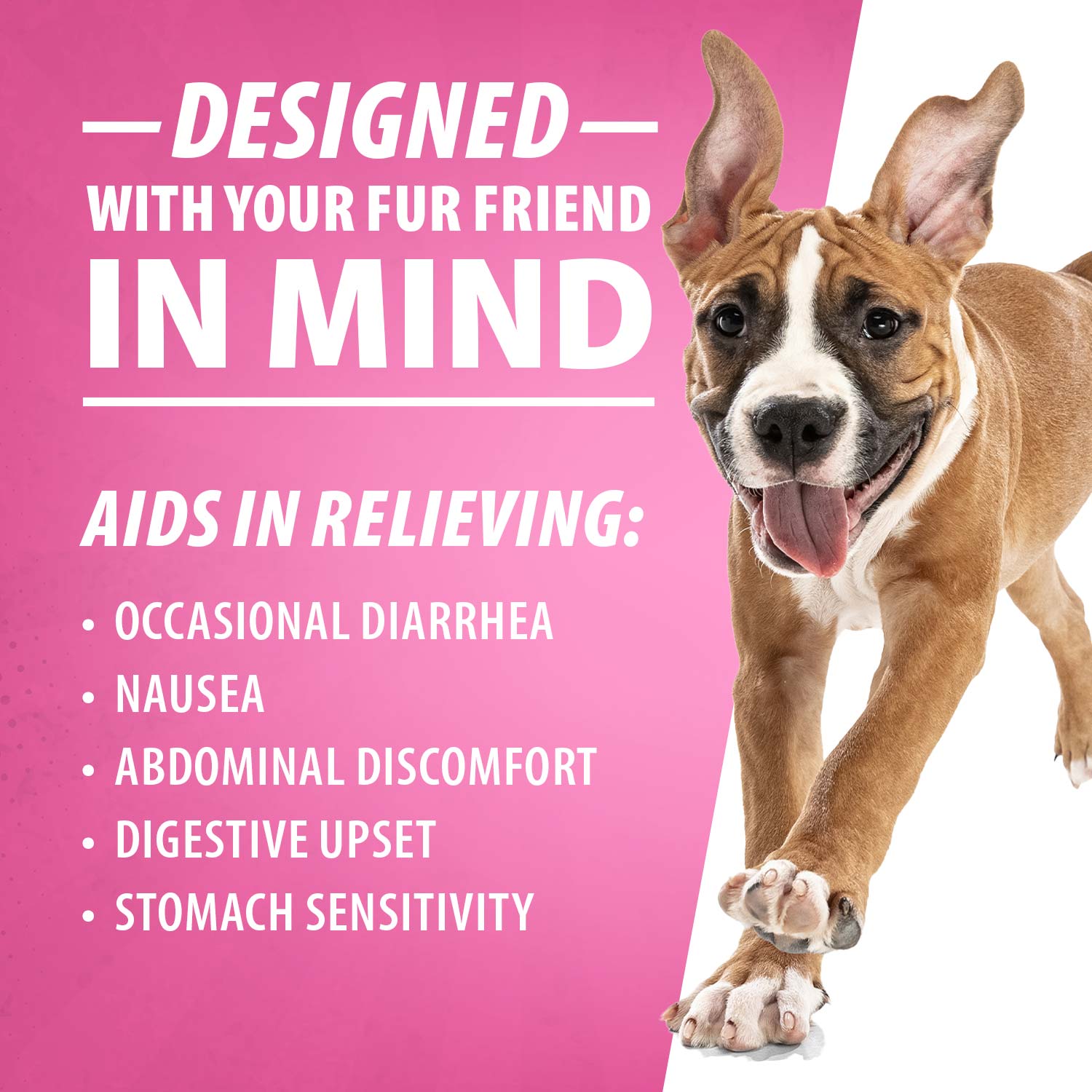Jeffers Diawin Digestive Support for Dogs - Bismuth Tummy Relief for Diarrhea