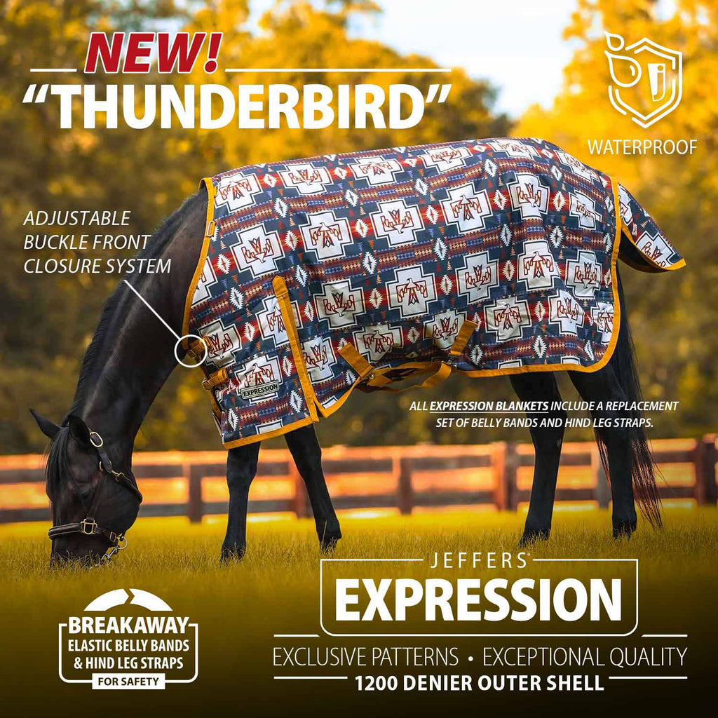 Jeffers Expression 1200 Denier Standard Neck Horse Turnout Sheet, 0 Gram