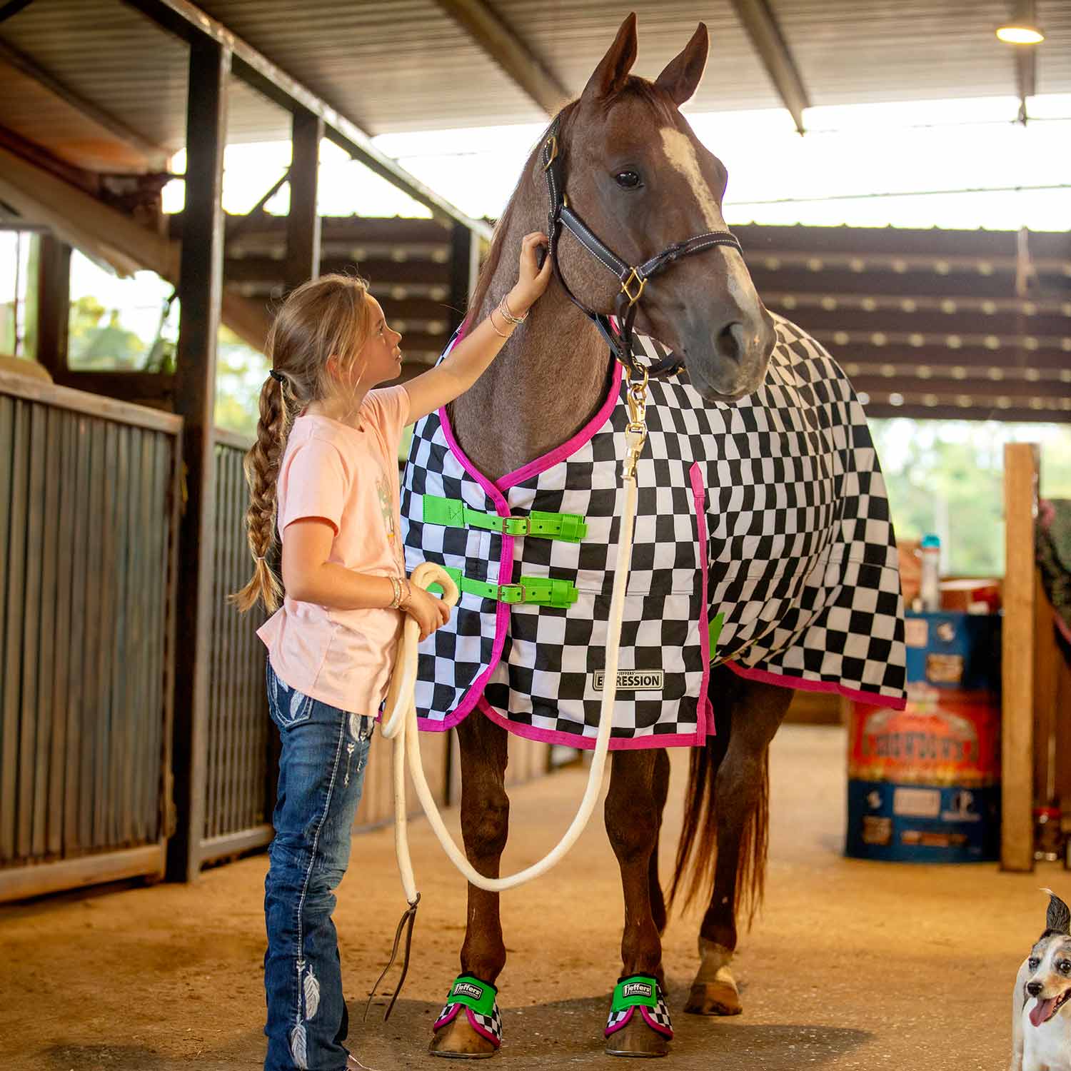 Jeffers Expression 1200 Denier Standard Neck Horse Turnout Sheet, 0 Gram