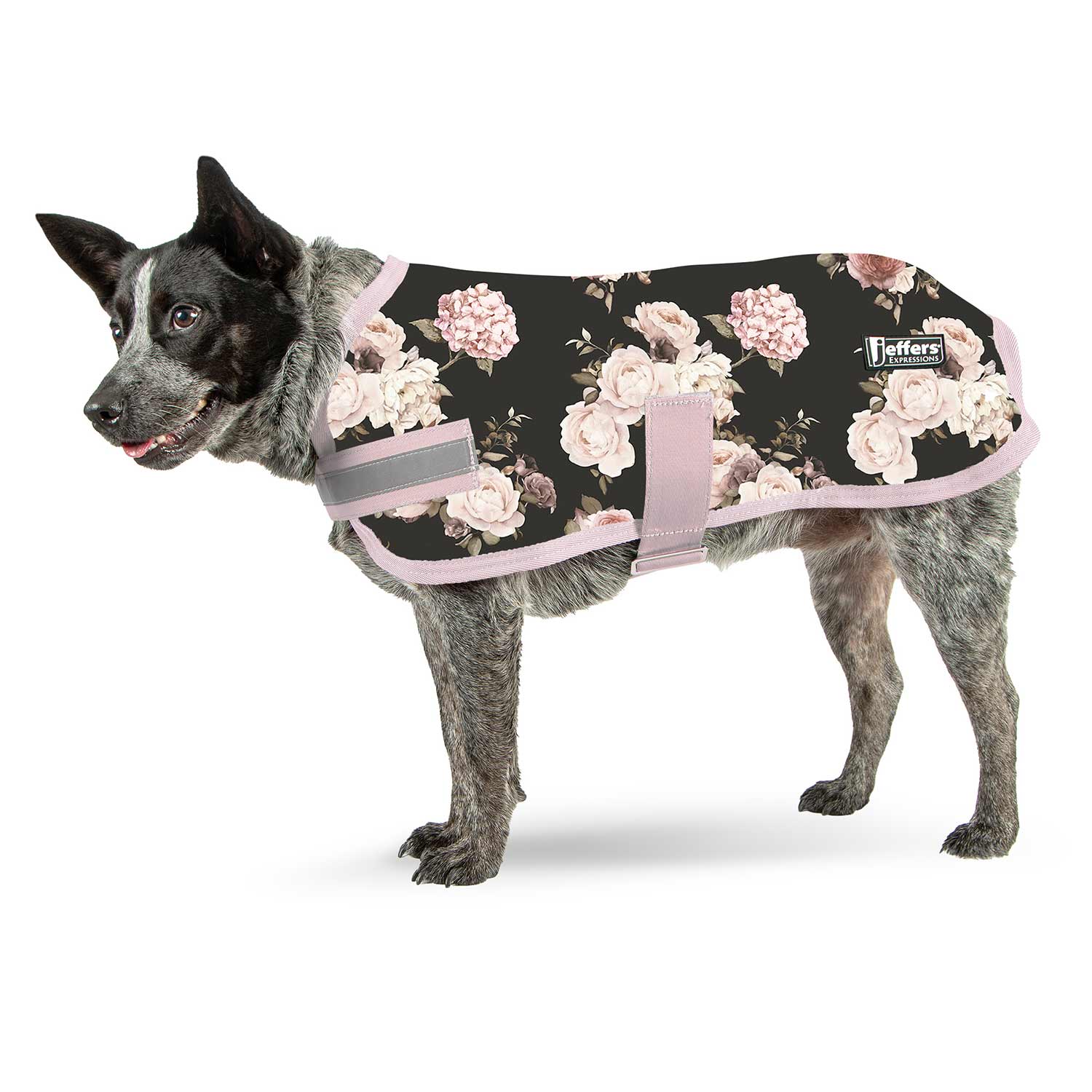Jeffers Expression 600D Waterproof Ripstop Dog Coat, 240 Gram
