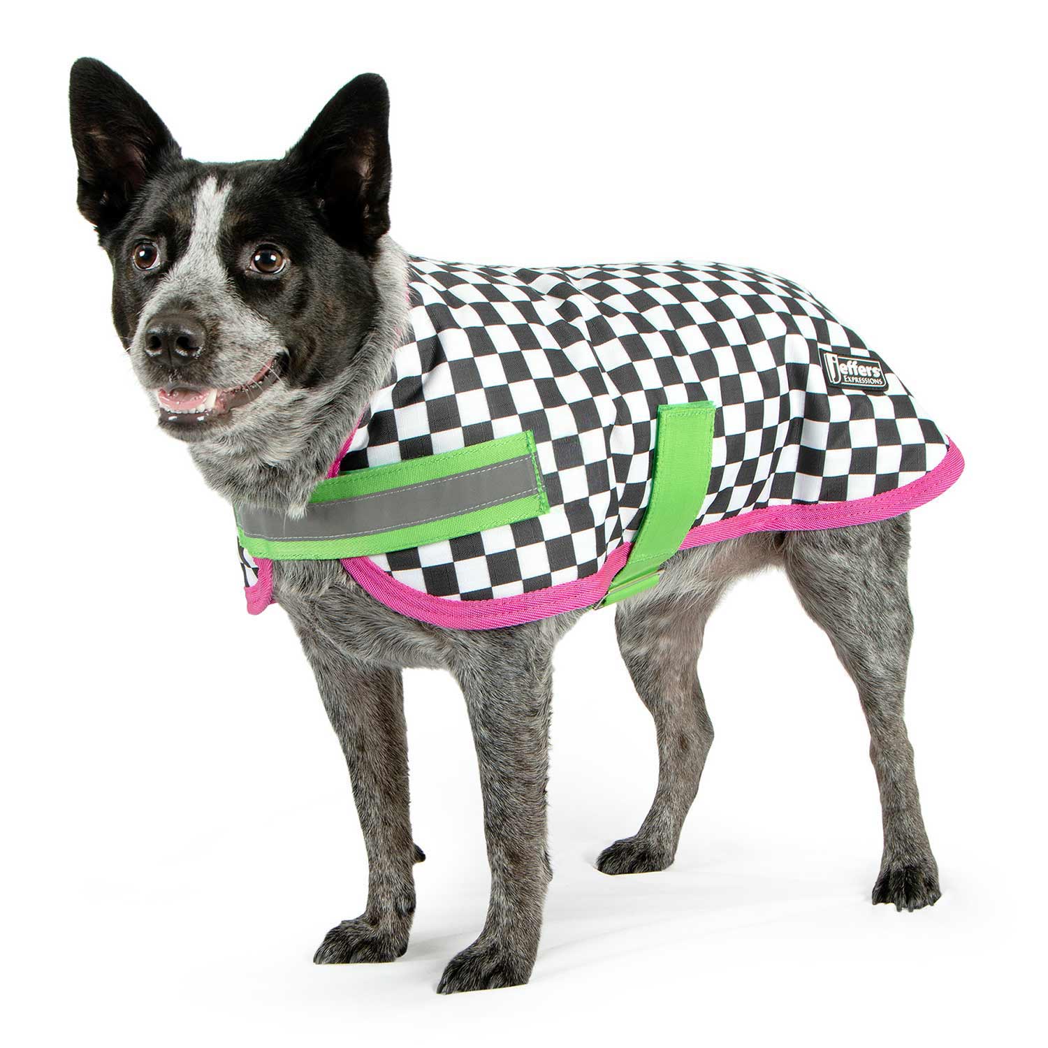 Jeffers Expression 600D Waterproof Ripstop Dog Coat, 240 Gram