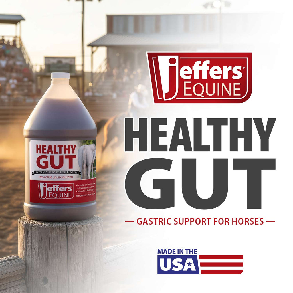 Jeffers Healthy Gut Gastric Support Liquid Supplement for Horses