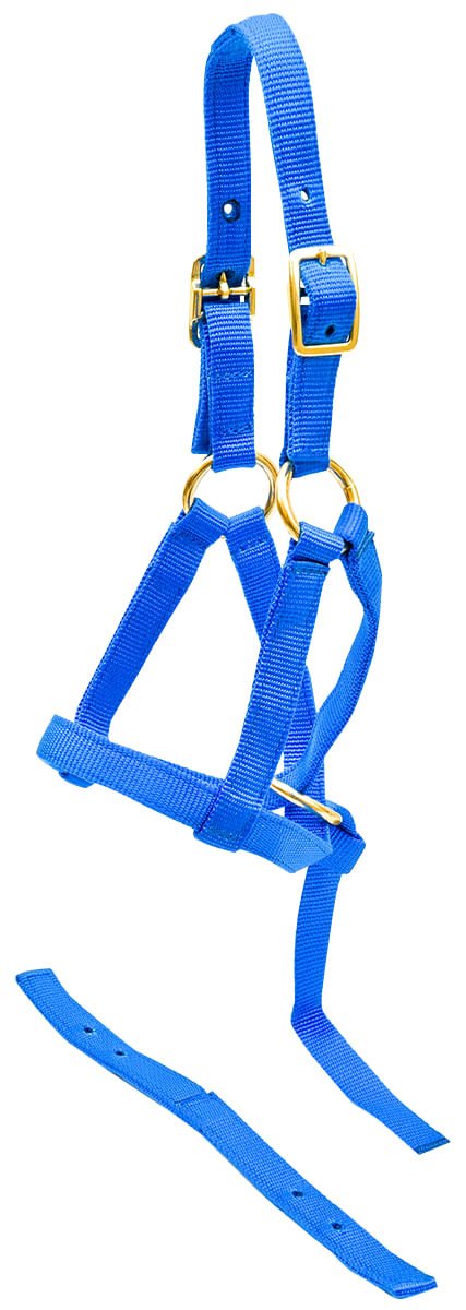Jeffers Nylon "Grow With Me" Weanling Horse Halter