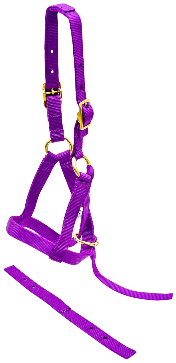 Jeffers Nylon "Grow With Me" Weanling Horse Halter