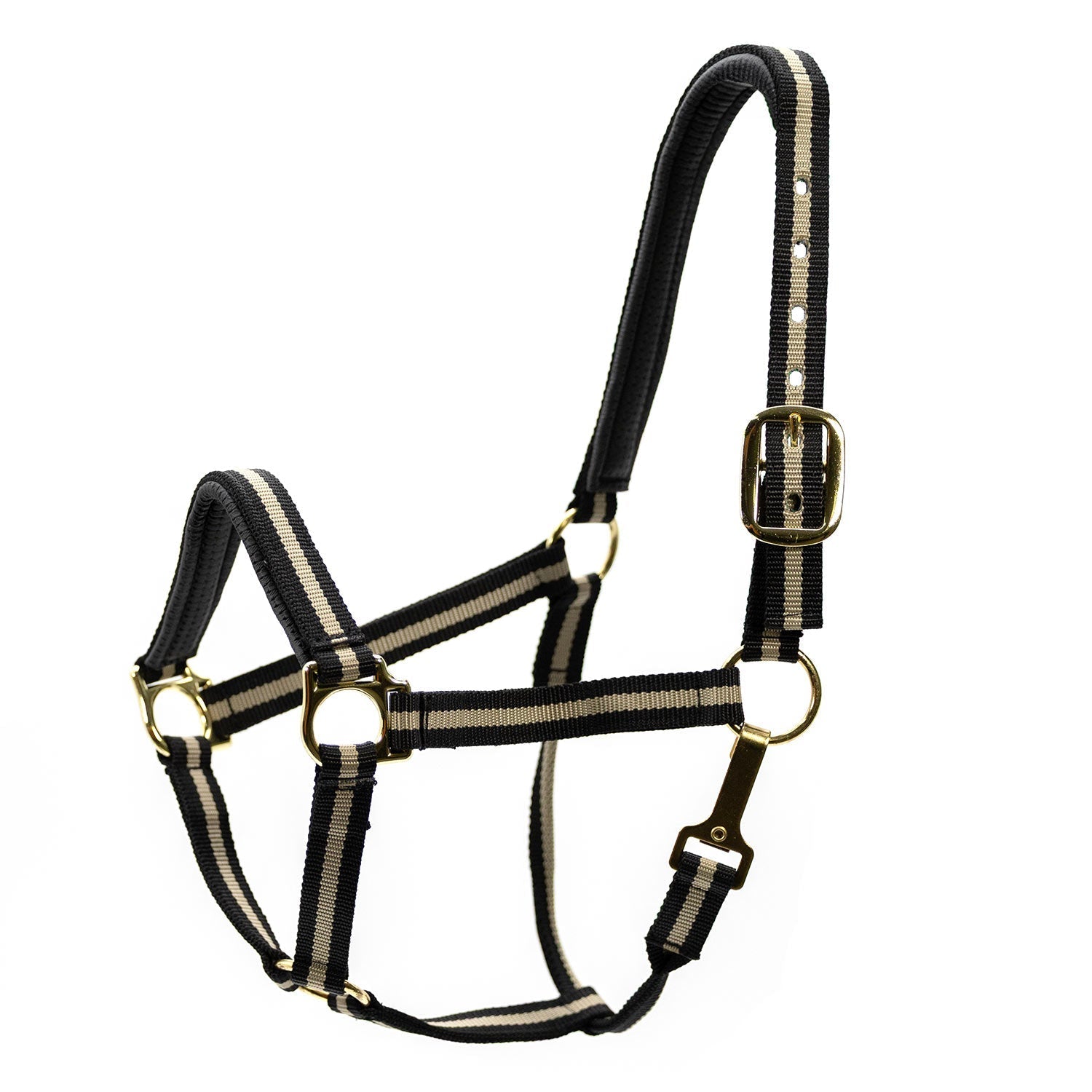 Jeffers Padded Nylon Horse Halter with Throat Snap