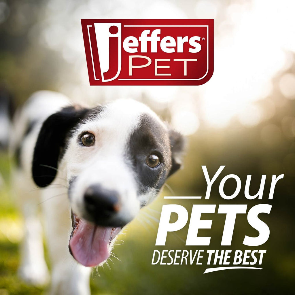 Jeffers Flat Leather Dog Leash with Hand Strap Handle, 6'L