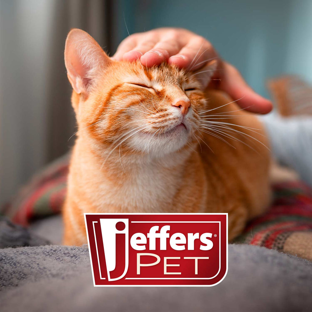 Jeffers Pet Vanilla Walnut Exfoliating Dog & Cat Conditioning Shampoo
